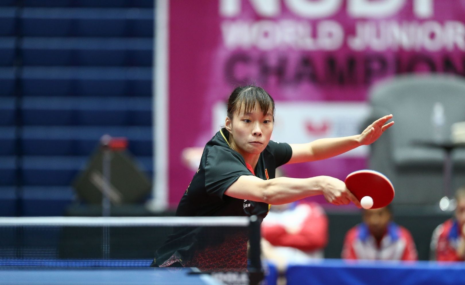 士队共交手 士队共交手