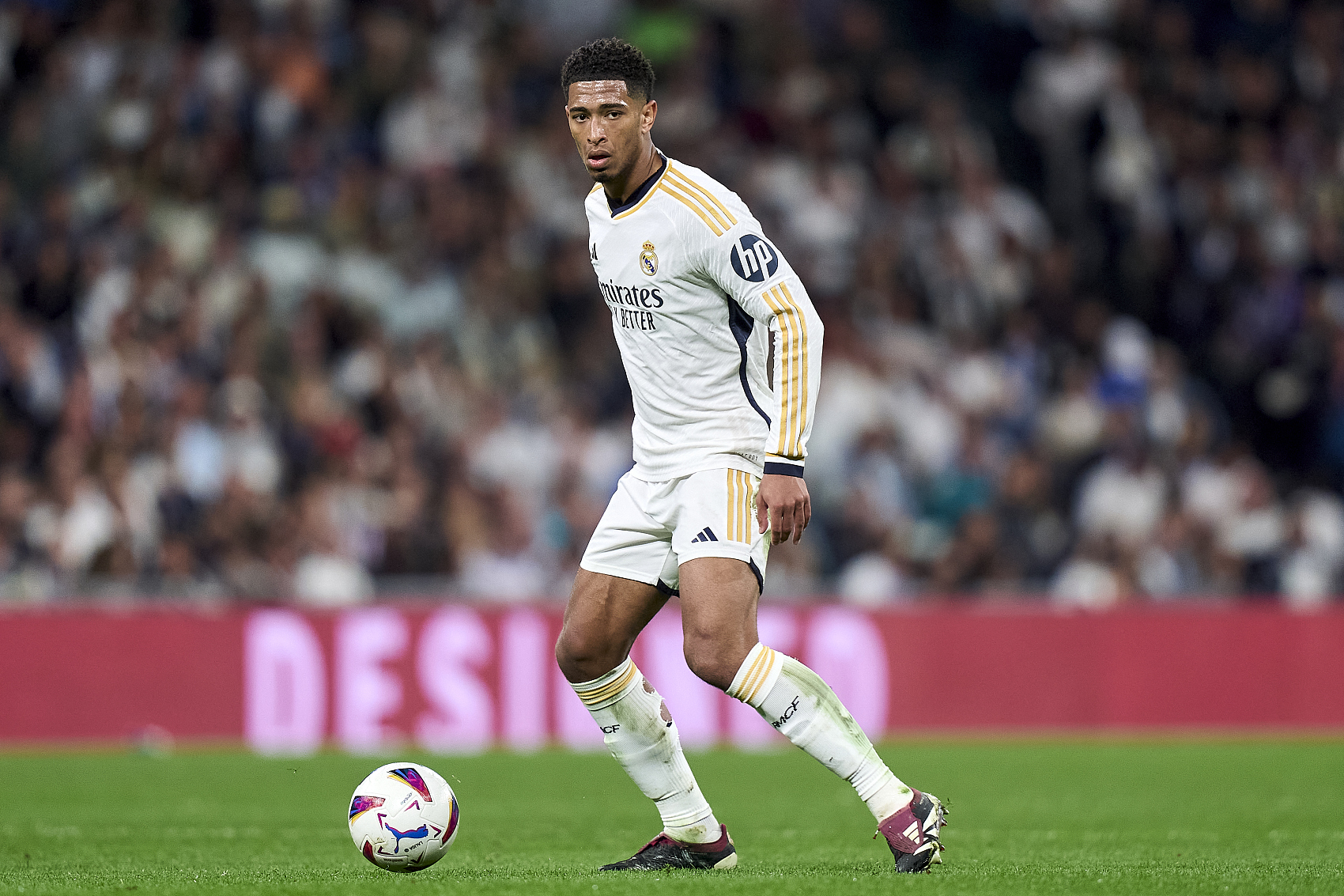 足只能选择 足只能选择