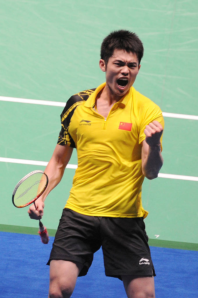 升的台阶 升的台阶